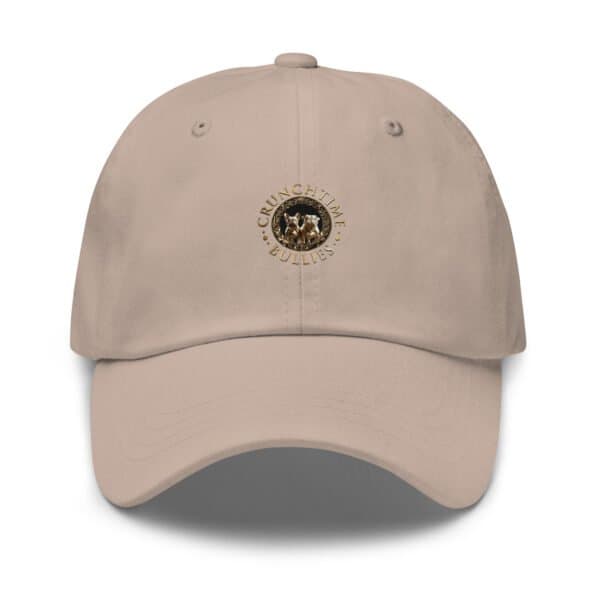 Dad Hat - Stone