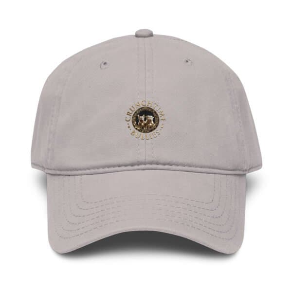 Garment Washed Baseball Cap - Gray